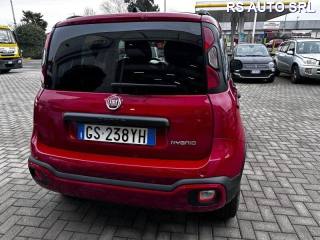 FIAT Panda Cross usata, con Fendinebbia