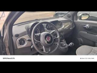 FIAT 500 usata 14