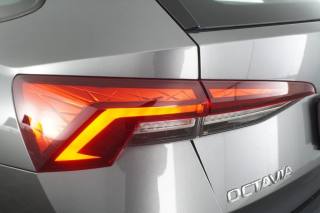 SKODA Octavia usata 15