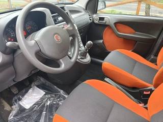 FIAT Panda usata, con Cronologia tagliandi