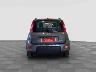 FIAT Panda usata 3