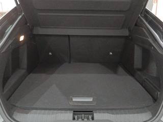 RENAULT Arkana usata, con Filtro antiparticolato