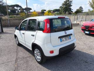 FIAT Panda usata 3