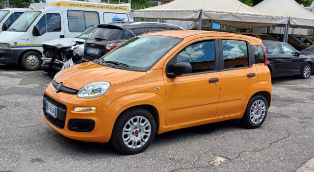 FIAT Panda usata, con Airbag Passeggero