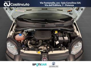 FIAT Panda Cross usata, con Fendinebbia