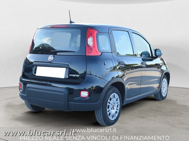FIAT Panda usata 2