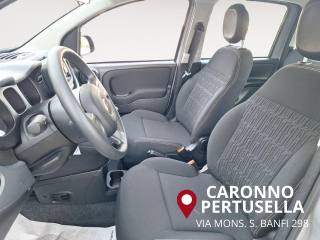 FIAT Panda usata, con Controllo trazione