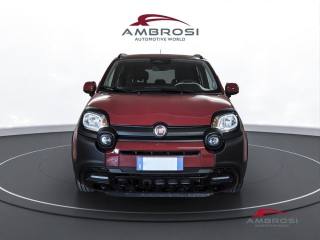 FIAT Panda usata 6