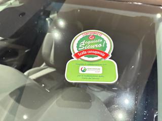 OPEL Crossland usata, con Autoradio