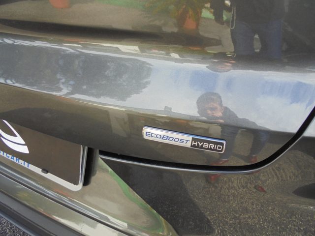 FORD Puma usata, con Fendinebbia