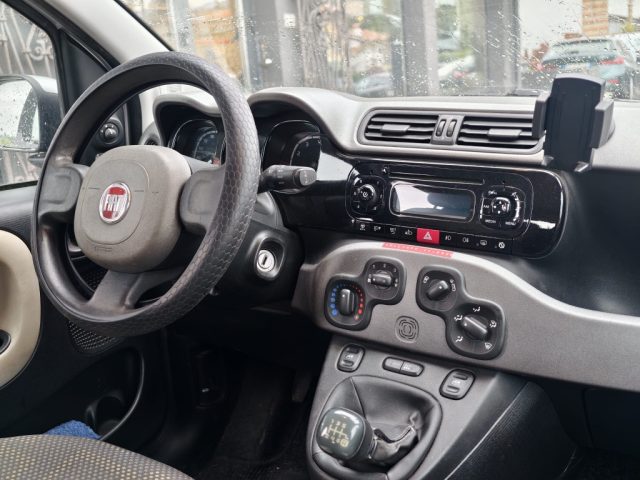 FIAT Panda usata, con Bracciolo