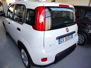 FIAT Panda usata, con Controllo trazione