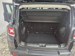 JEEP Renegade usata, con Fendinebbia