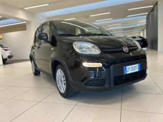 FIAT Panda usata, con Immobilizzatore elettronico