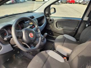 FIAT Panda usata, con Servosterzo