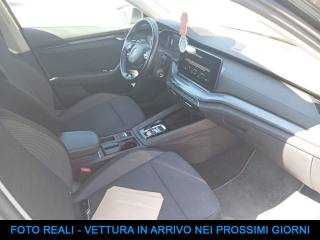 SKODA Octavia usata, con Autoradio
