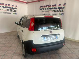 FIAT Panda usata, con Airbag Passeggero