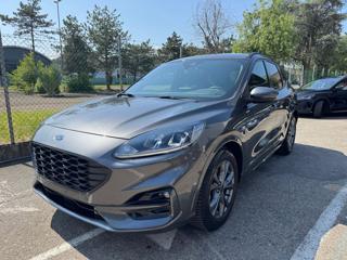 FORD Kuga 2.0 EcoBlue 120CV AUTOM. ST-Line