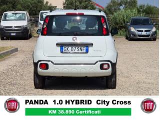 FIAT Panda Cross usata, con Alzacristalli elettrici