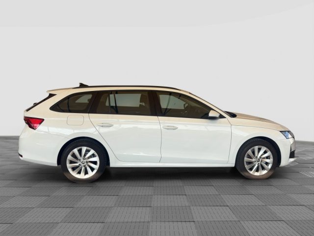 SKODA Octavia usata 6