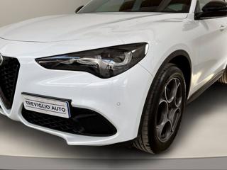 ALFA ROMEO Stelvio usata, con Leve al volante