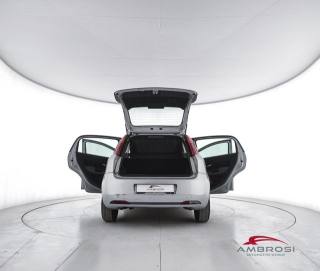 FIAT Punto usata 6