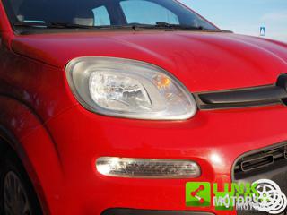 FIAT Panda usata 34
