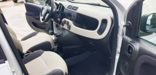 FIAT Panda usata, con Immobilizzatore elettronico