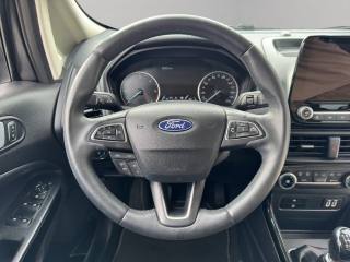 FORD EcoSport usata, con Fendinebbia