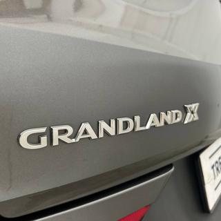 OPEL Grandland X usata, con Sensore di pioggia