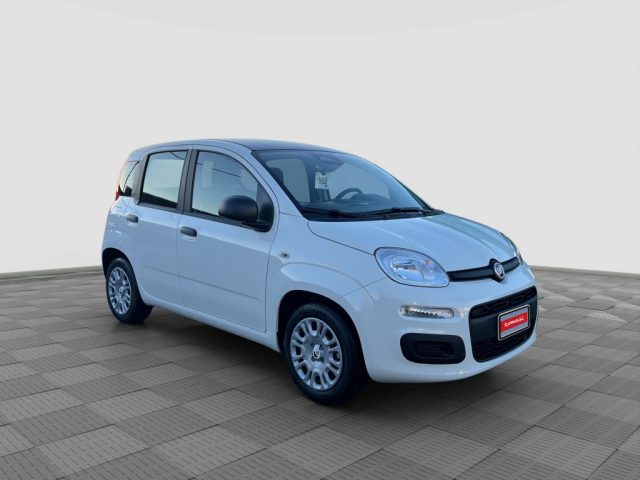 FIAT Panda usata 3
