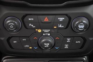 JEEP Renegade usata, con Volante in pelle