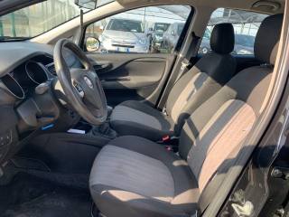 FIAT Punto usata, con Climatizzatore