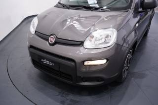 FIAT New Panda usata 22