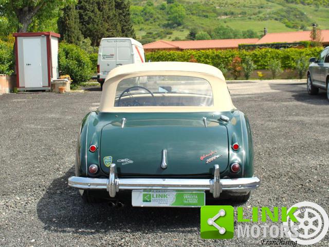 AUSTIN Healey usata 5