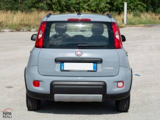 FIAT Panda usata, con Antifurto
