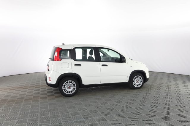 FIAT Panda usata 2