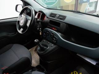 FIAT Panda usata 21