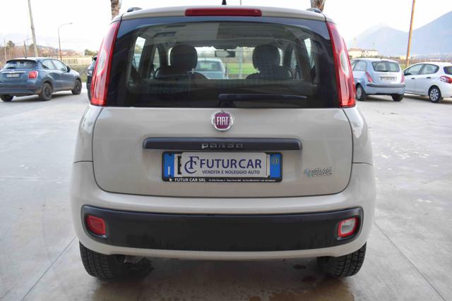 FIAT Panda usata 13