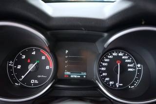 ALFA ROMEO Stelvio usata 55
