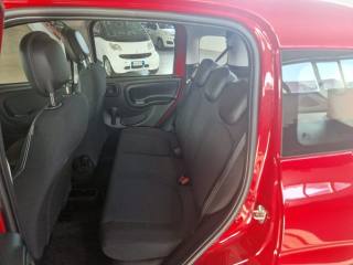 FIAT Panda usata, con Controllo trazione