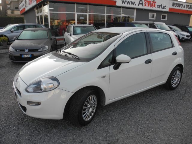 FIAT Punto usata 59