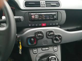 FIAT Panda usata, con Airbag testa