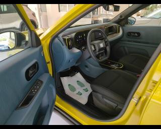 FIAT Grande Panda usata, con ESP
