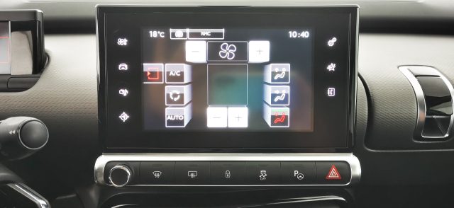 CITROEN C4 Cactus usata, con Cruise Control