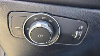 ALFA ROMEO Tonale usata, con Volante in pelle