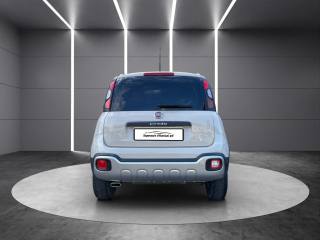FIAT Panda Cross usata, con Alzacristalli elettrici