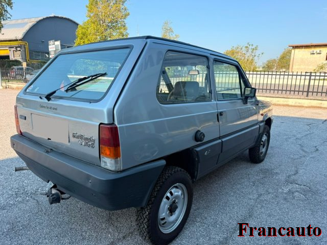 FIAT Panda usata 2