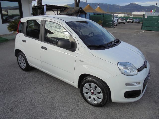 FIAT Panda usata 14