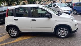 FIAT Panda usata, con Alzacristalli elettrici
